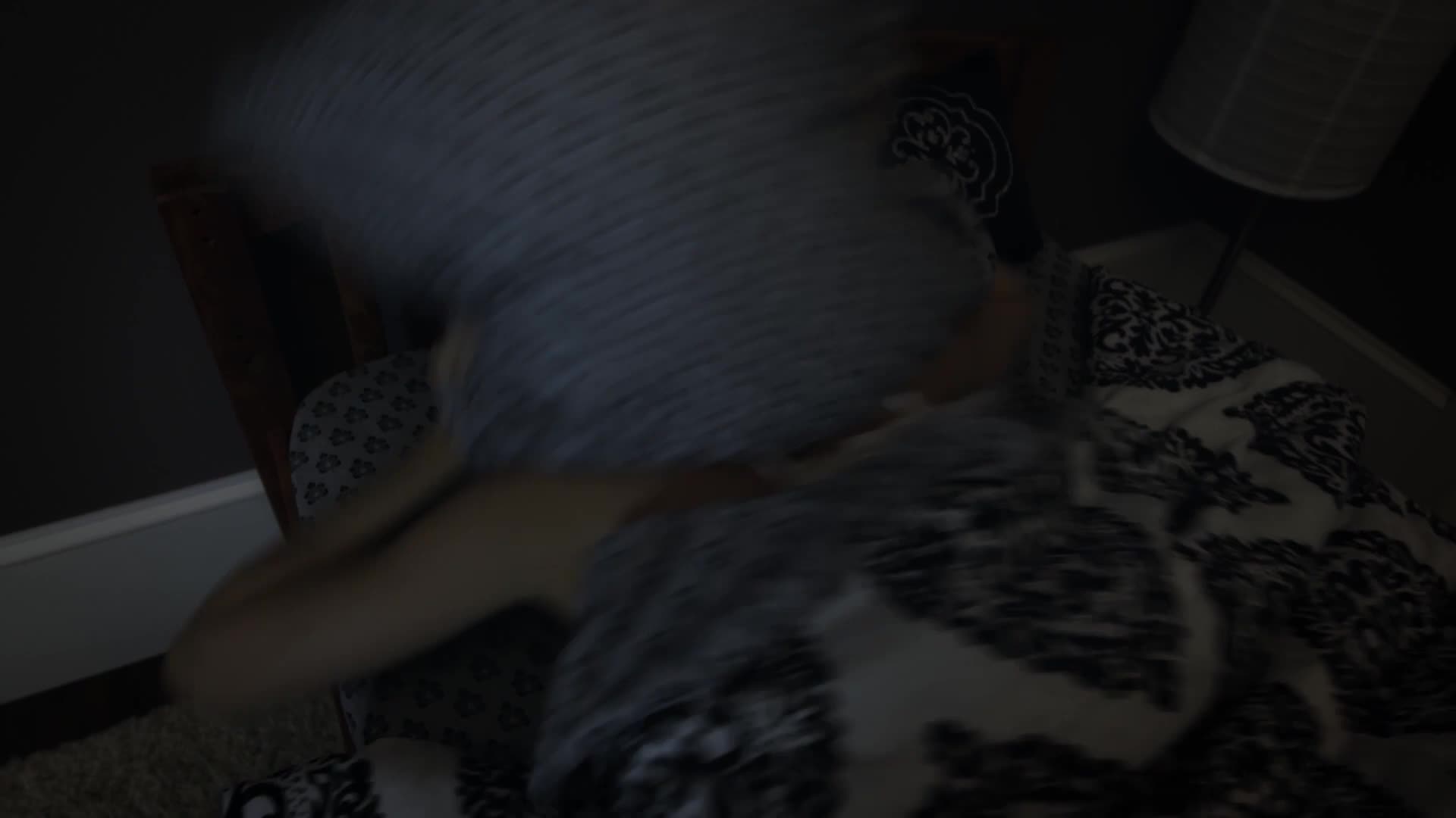 missax.18.08.23.elena.koshka.sex.sounds