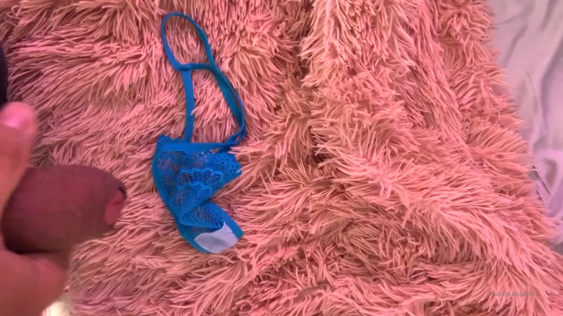 cutiepii33quinn(Horiz.)(33)