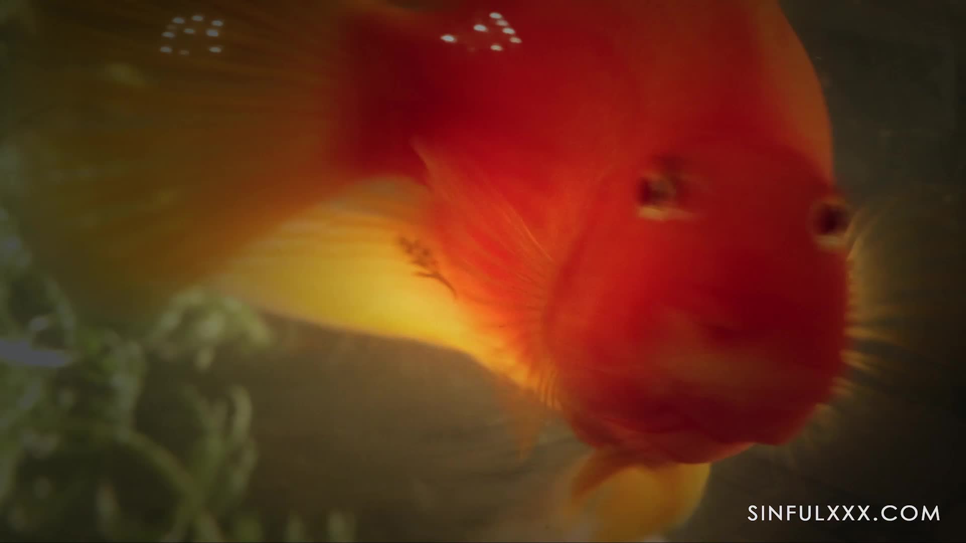 sinful.23.05.26.veronica.leal