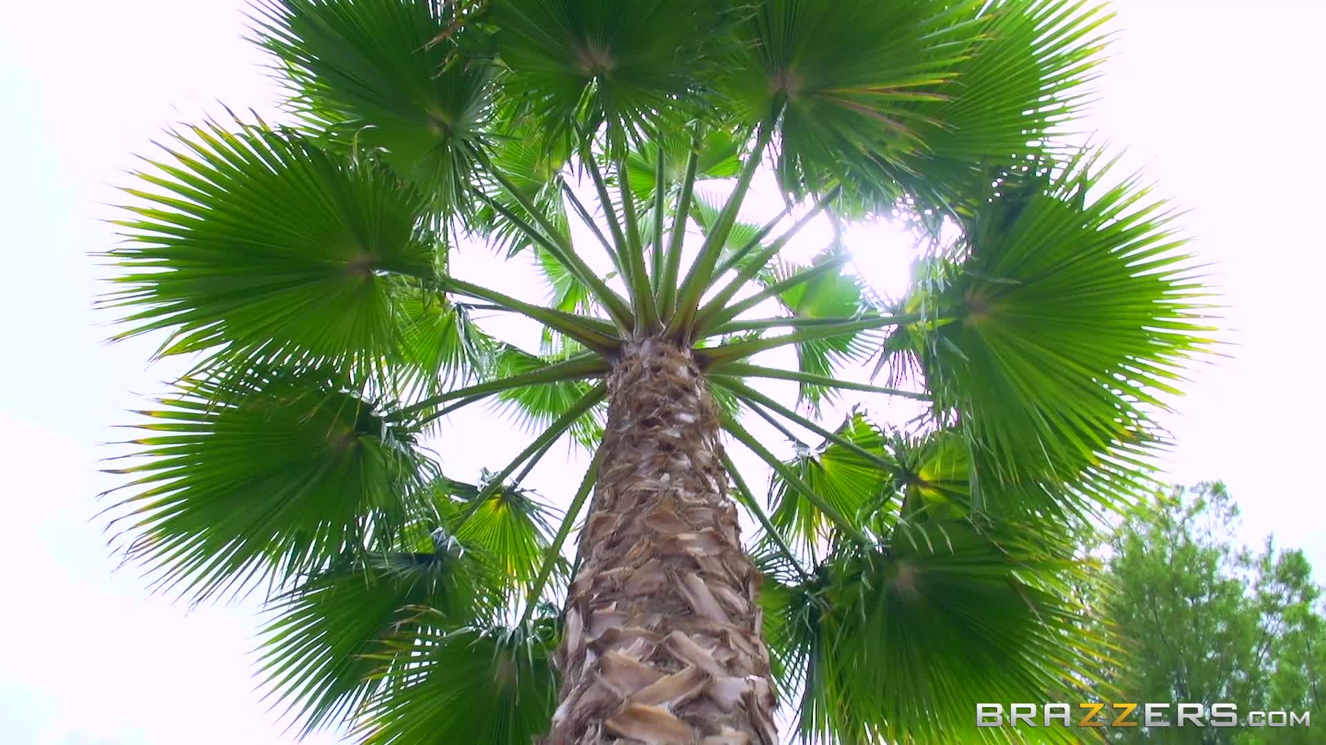 bwb.16.06.13.kristina.rose.ram.that.rose