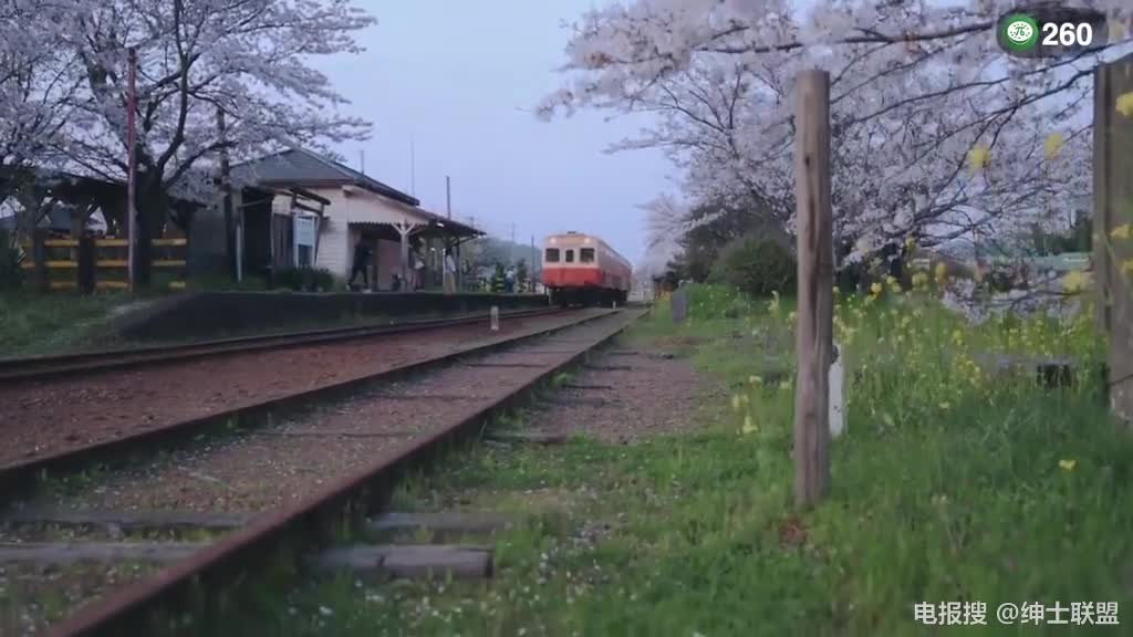 三年不食肉味的人妻