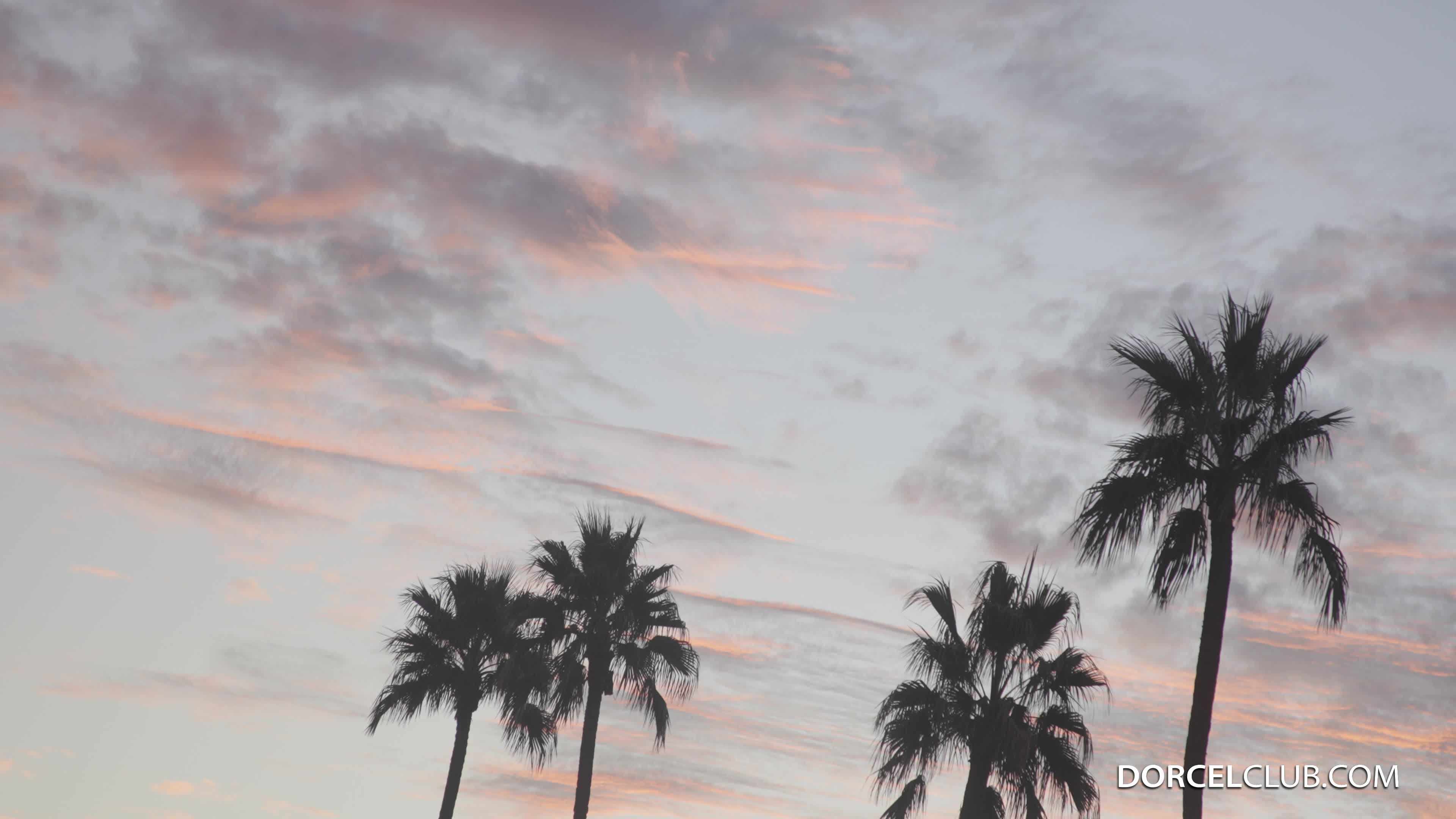 dorcelclub.23.02.10.kenna.james.gia.derza.and.vanna.bardot.4k