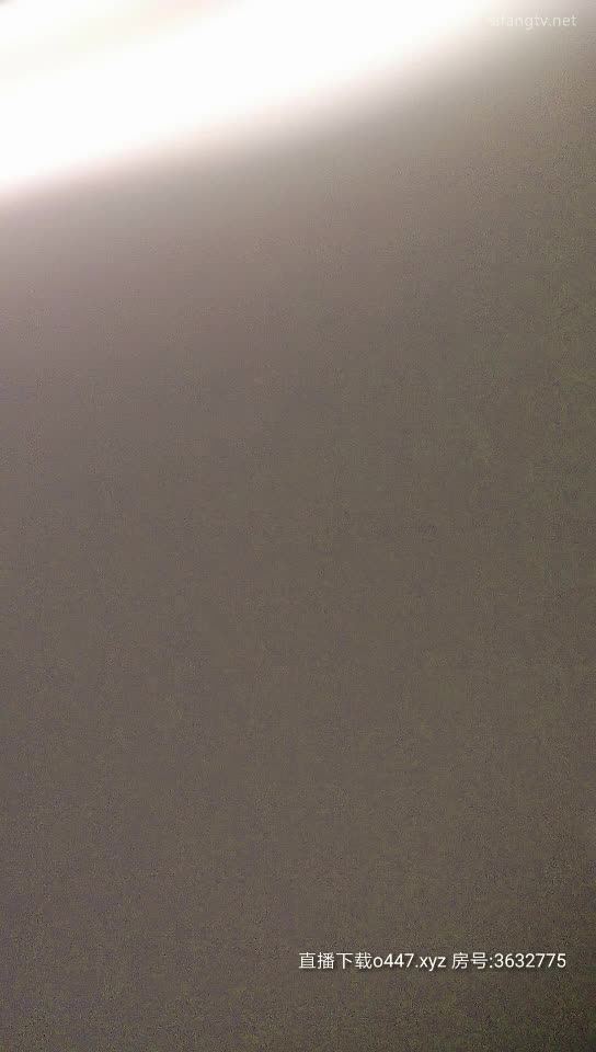 全国探花20200222 (2)