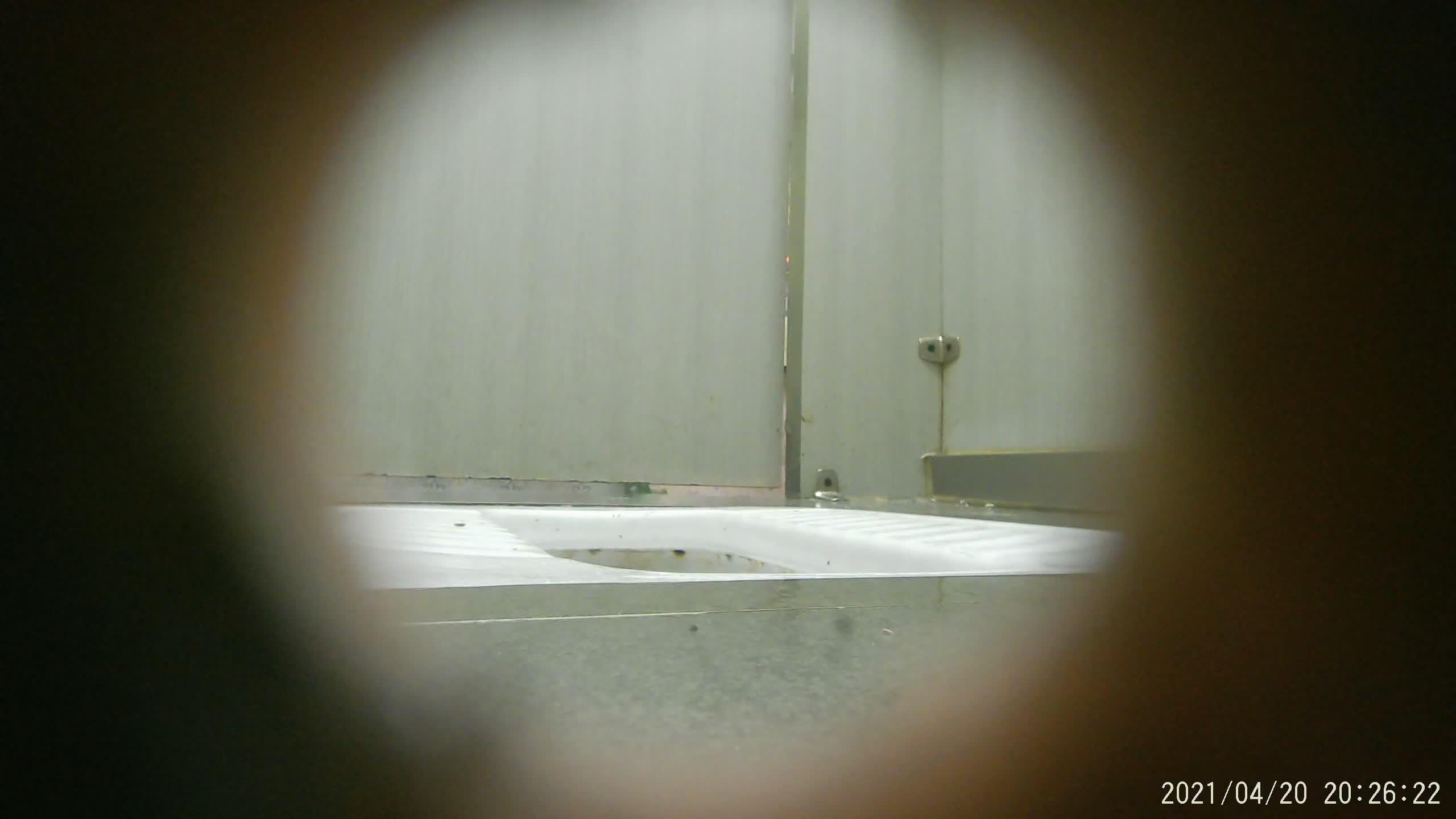 全网未流出全套 后拍厕拍【阎罗厕拍系列】完整版全套 第二期【329v】 (6)