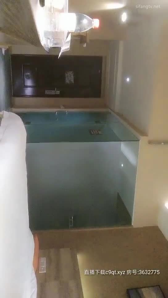 雀儿满天飞20200209 (2)