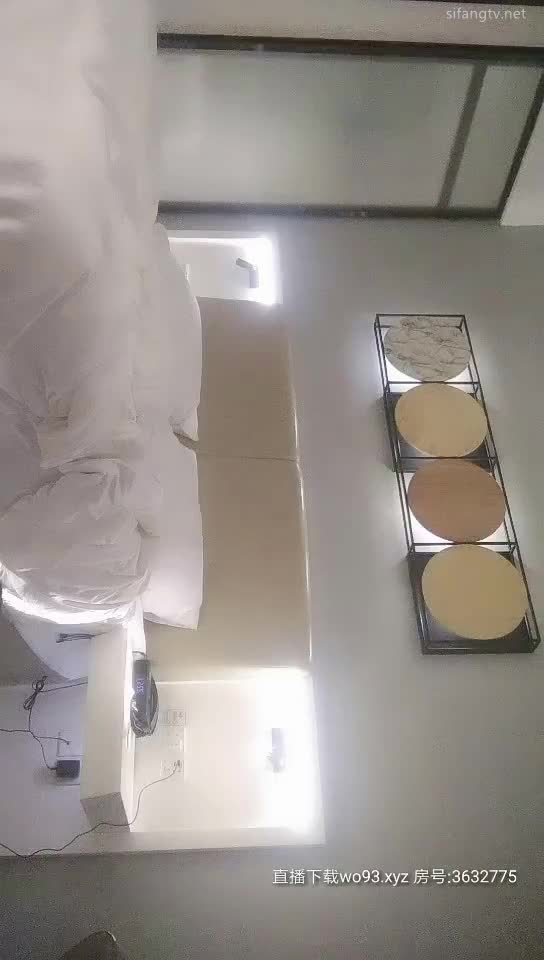 雀儿满天飞20200216 (3)