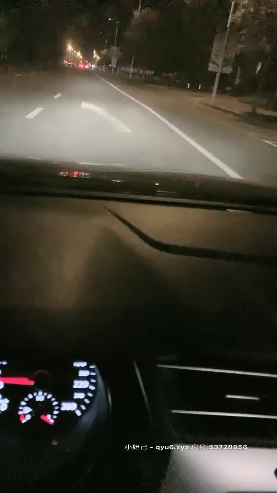 2048.cc@[原版]_003_avove_车震啪啪内射第一场_20210505