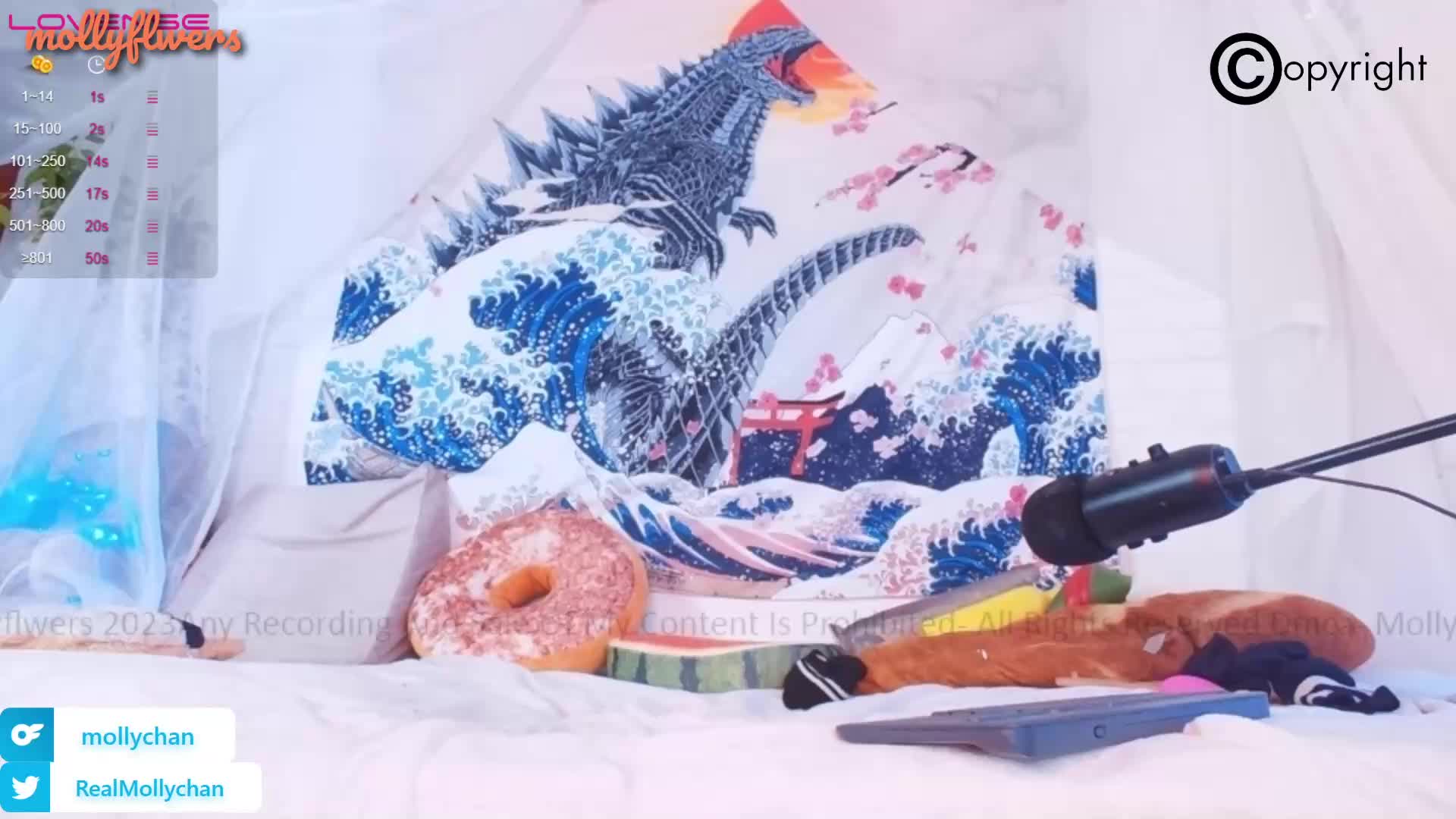 萌妹CB站主播（mollyflwers）合集【15V】 (11)