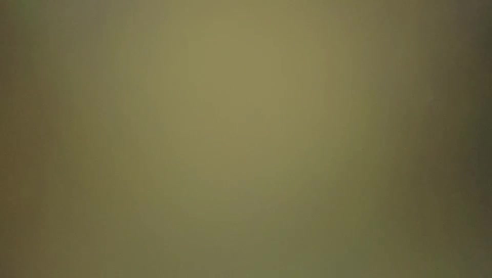 2048.cc@[原版]_014_全网寻花约良家_20210729