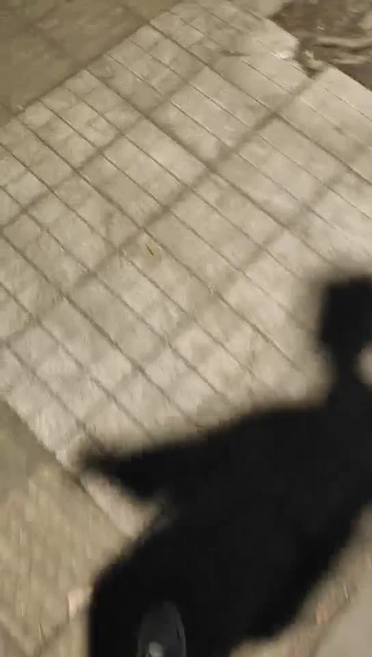 2048.cc@[原y版b]_002_啊a啦l啦l啦l啦l比b_啪p啪p_20220506