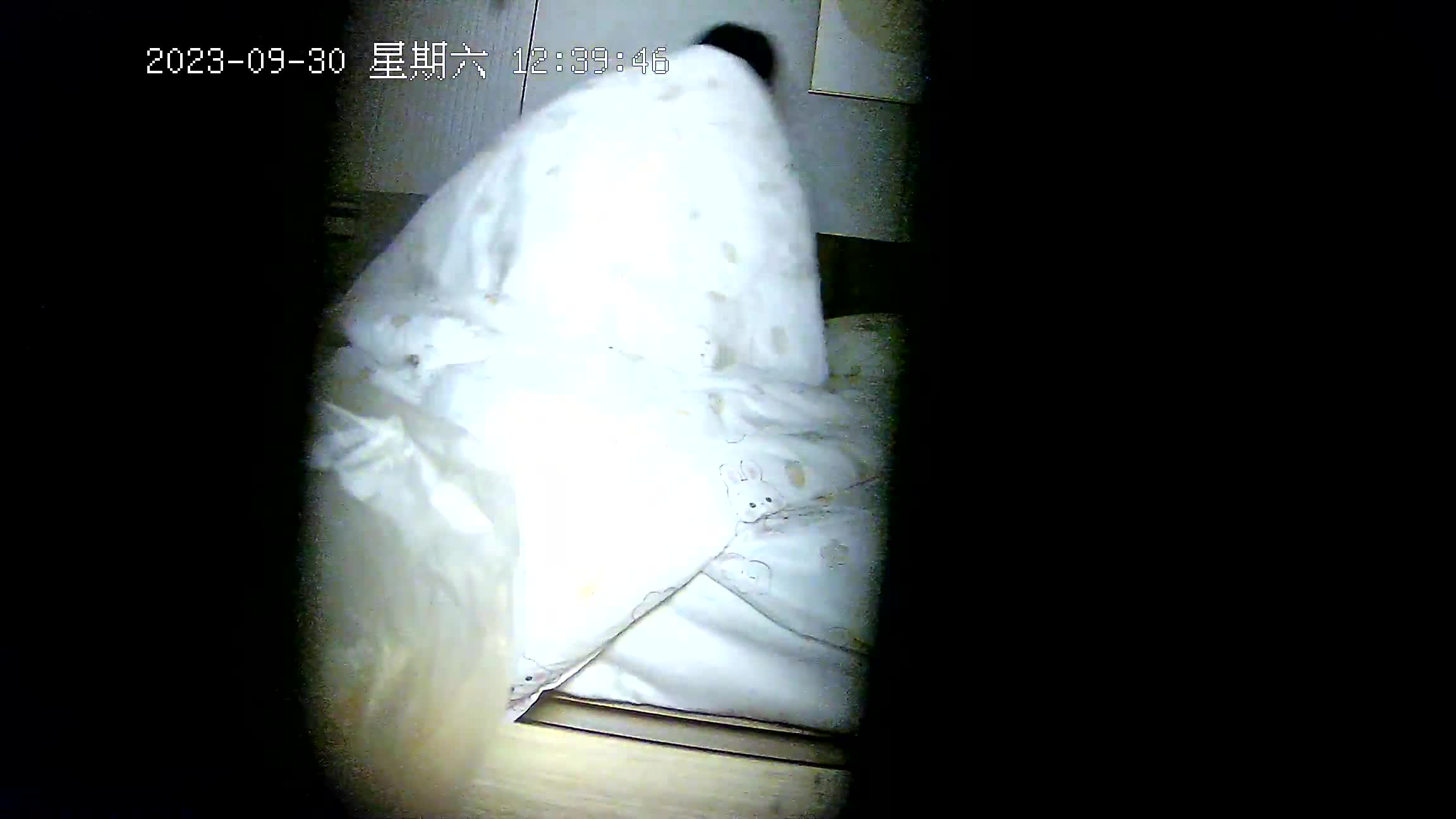 2023-9-30新流出酒店偷拍学生情侣五官很好看的小美女被男友打桩干了40多分钟