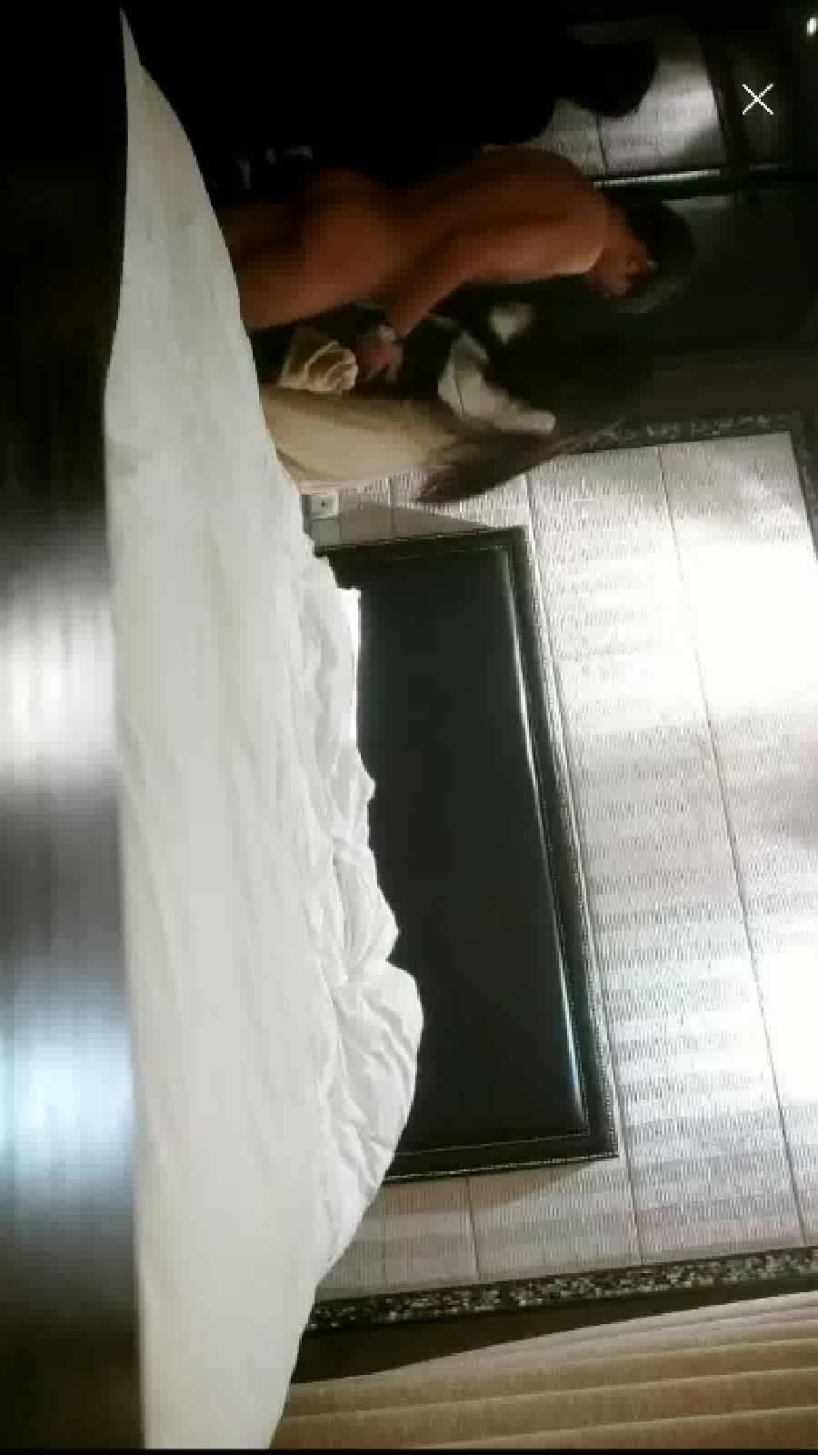 探花【无情的屌】作品合集【80v】 (75)