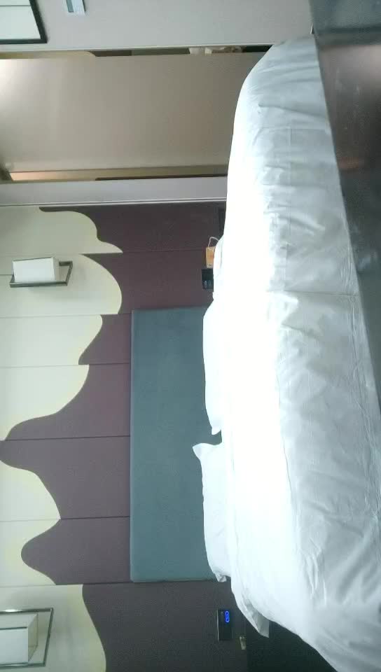 探花【无情的屌】作品合集【80v】 (45)