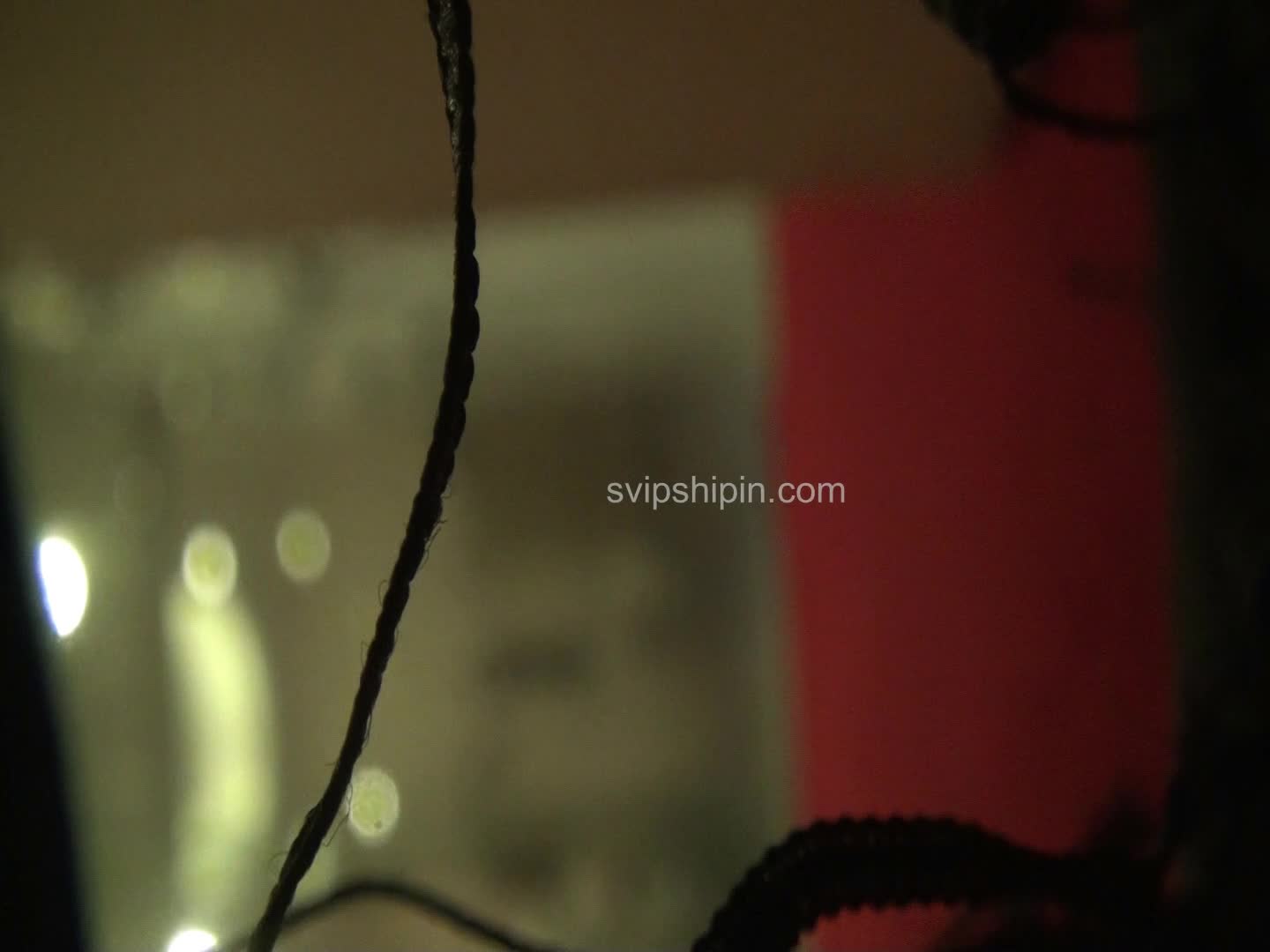 2048.cc@1159小祯31080