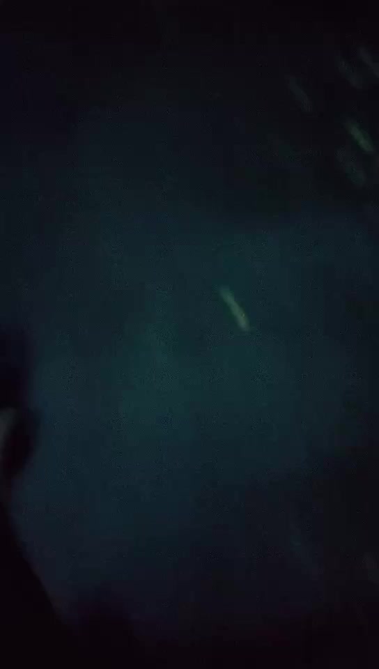 2048.cc@[原y版b]_027_第d一y女n探t花h回h归g_户h外w勾g搭d啪p啪p野y战z_20220312