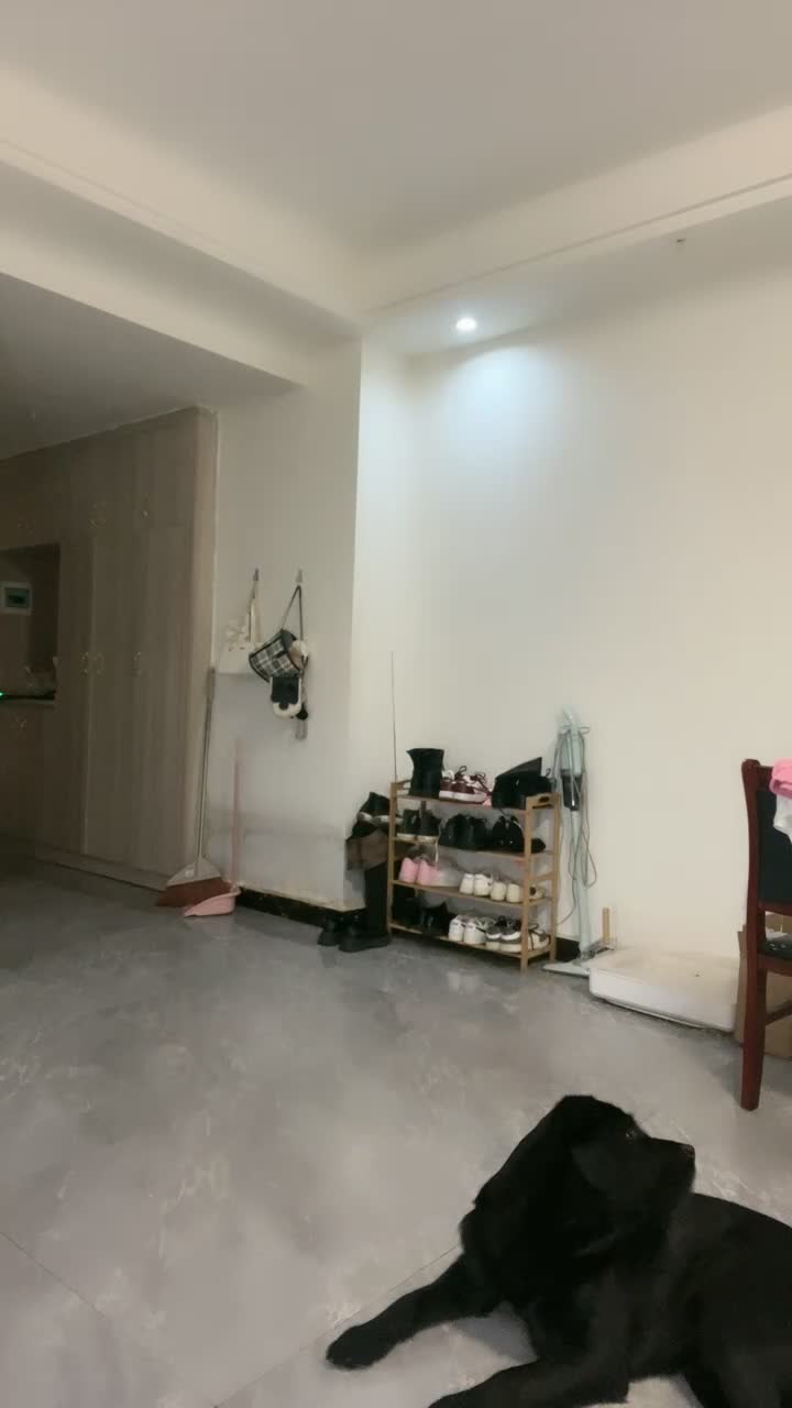 极品尤物小蝴蝶逼【对羊崽心动】嫩的不行~清纯女孩反差骚~道具插穴秒淫荡【82V】 (26)