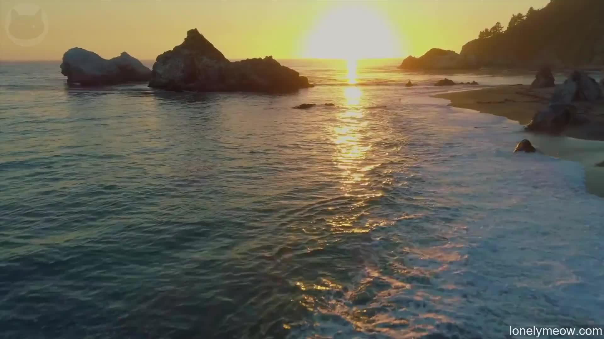 我喜欢在阳光下做爱LonelymeowMiainSUNSEX(ILovetogetFuckedundertheSun)