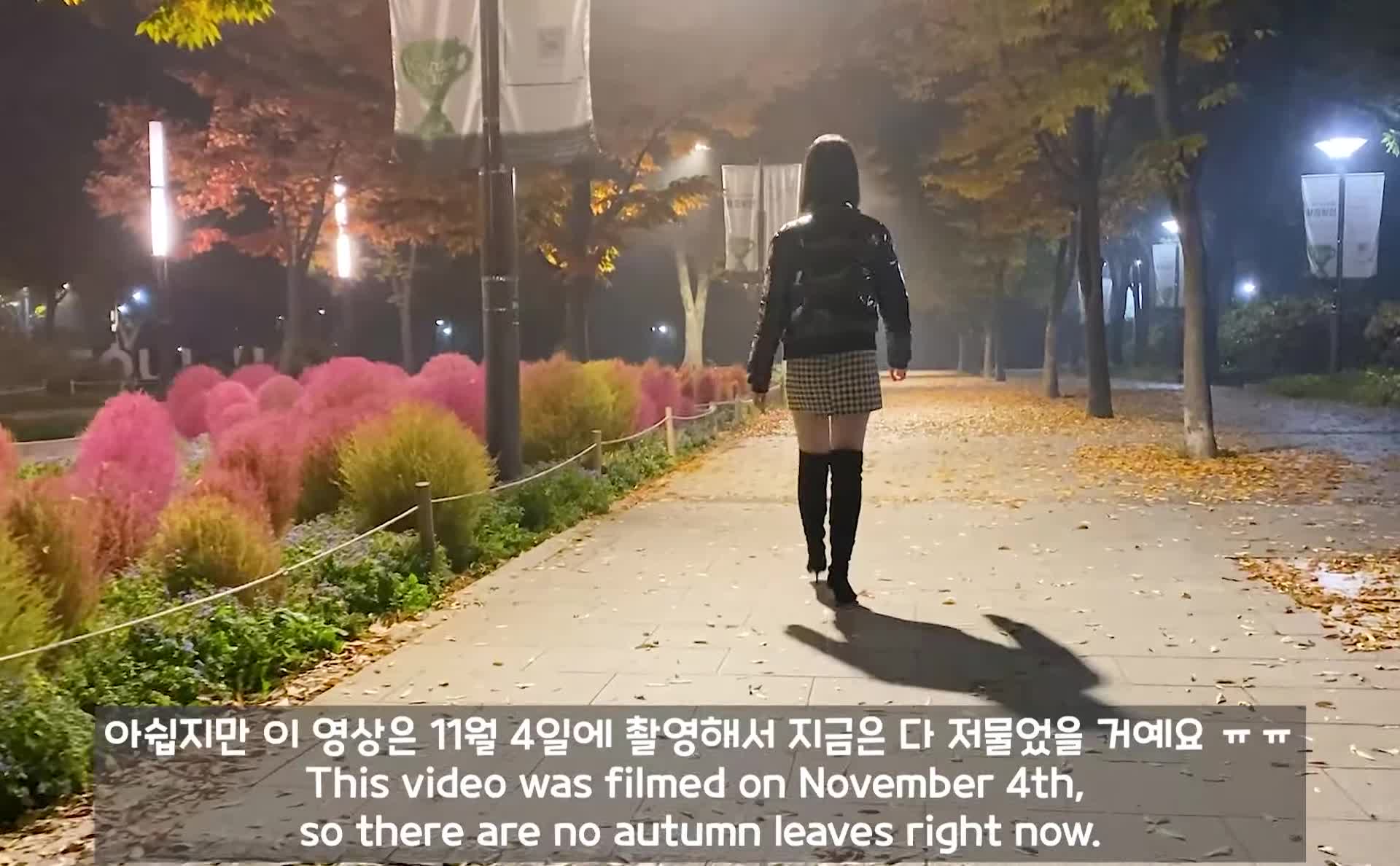 油管로미하우스 ROMIHOUSE内衣丝袜秀【208V】 (181)