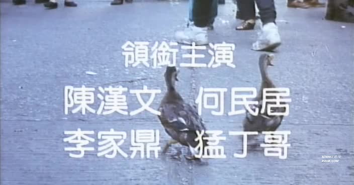 [香港_三级]鸭之一族