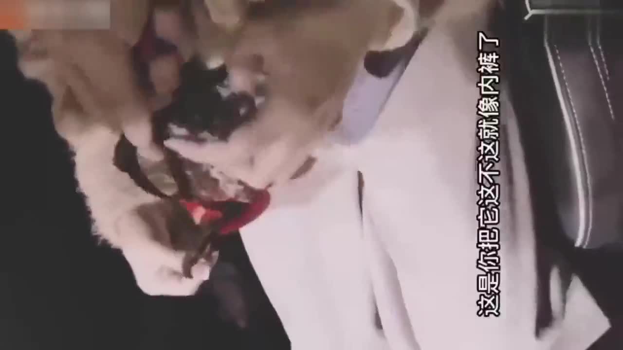 #乱伦 #兄妹 妹妹在商场夹跳蛋 车震内射