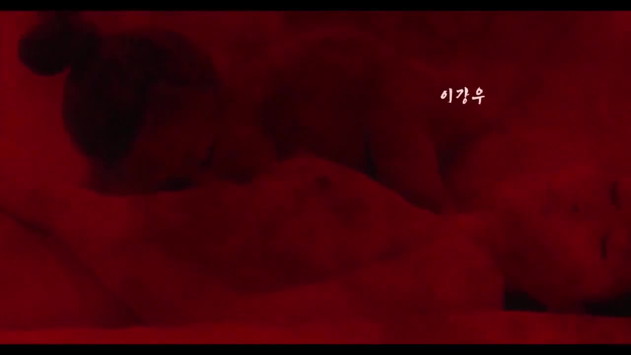 [韩国三级]出轨2