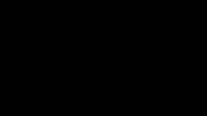 落翅女的黄昏1983 #国产三级