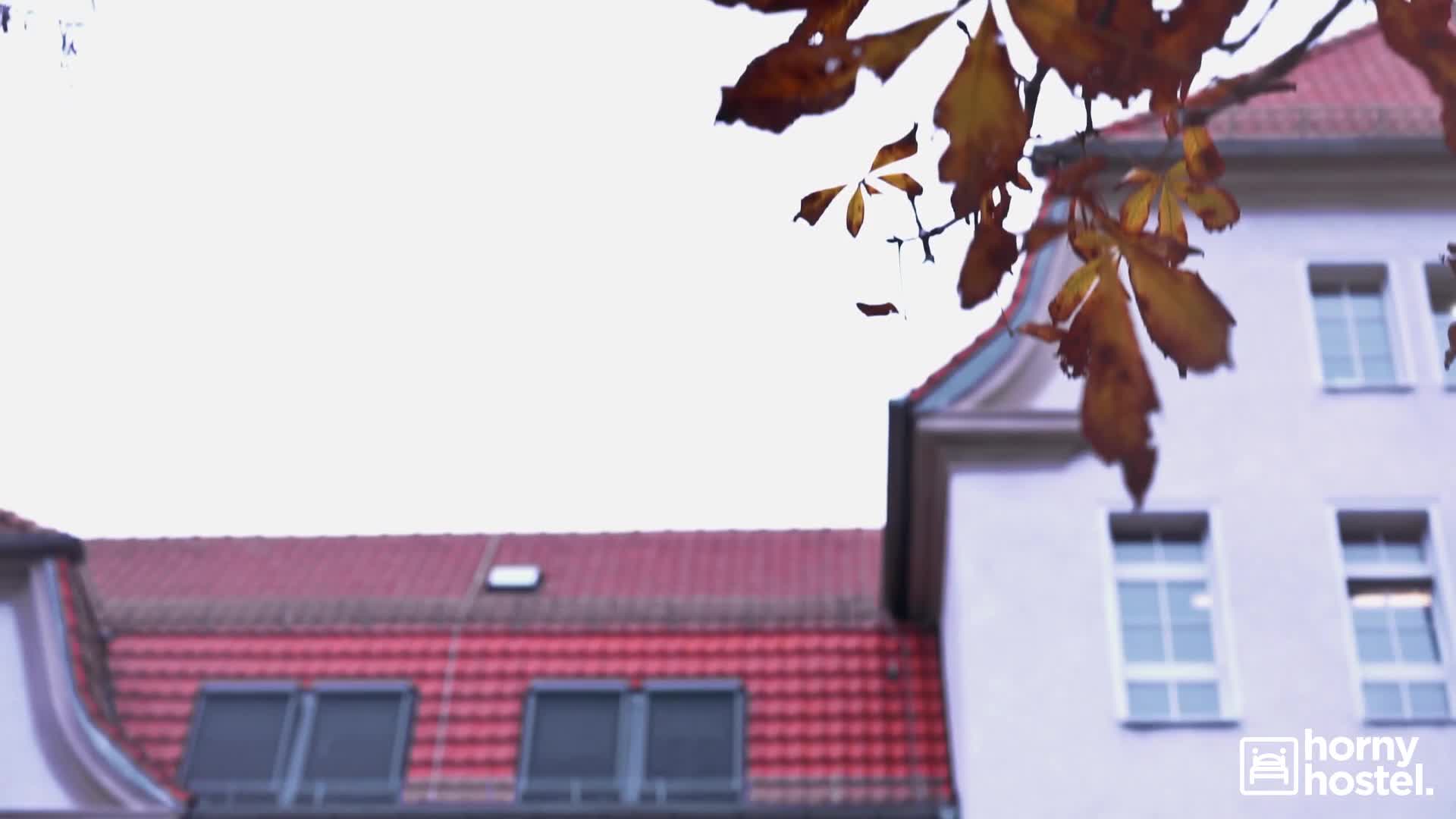 hornyhostel.19.12.26.gabi.gold