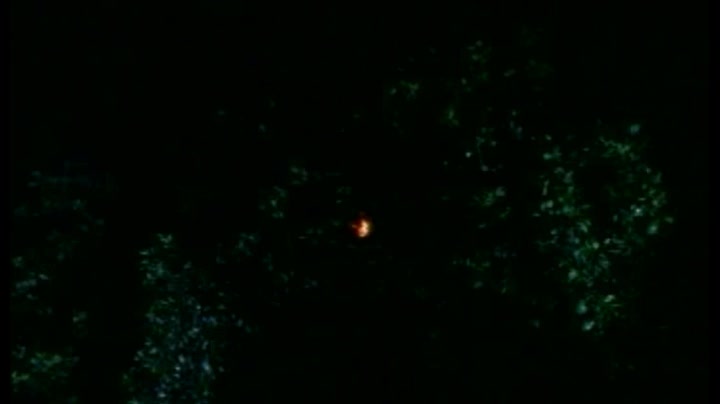 春宫妖姬 #香港三级