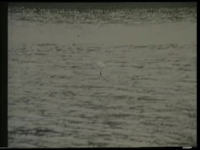 地区: 中国台湾
语言: 汉语普通话
上映日期: 1987(中国台湾)
片长: 80