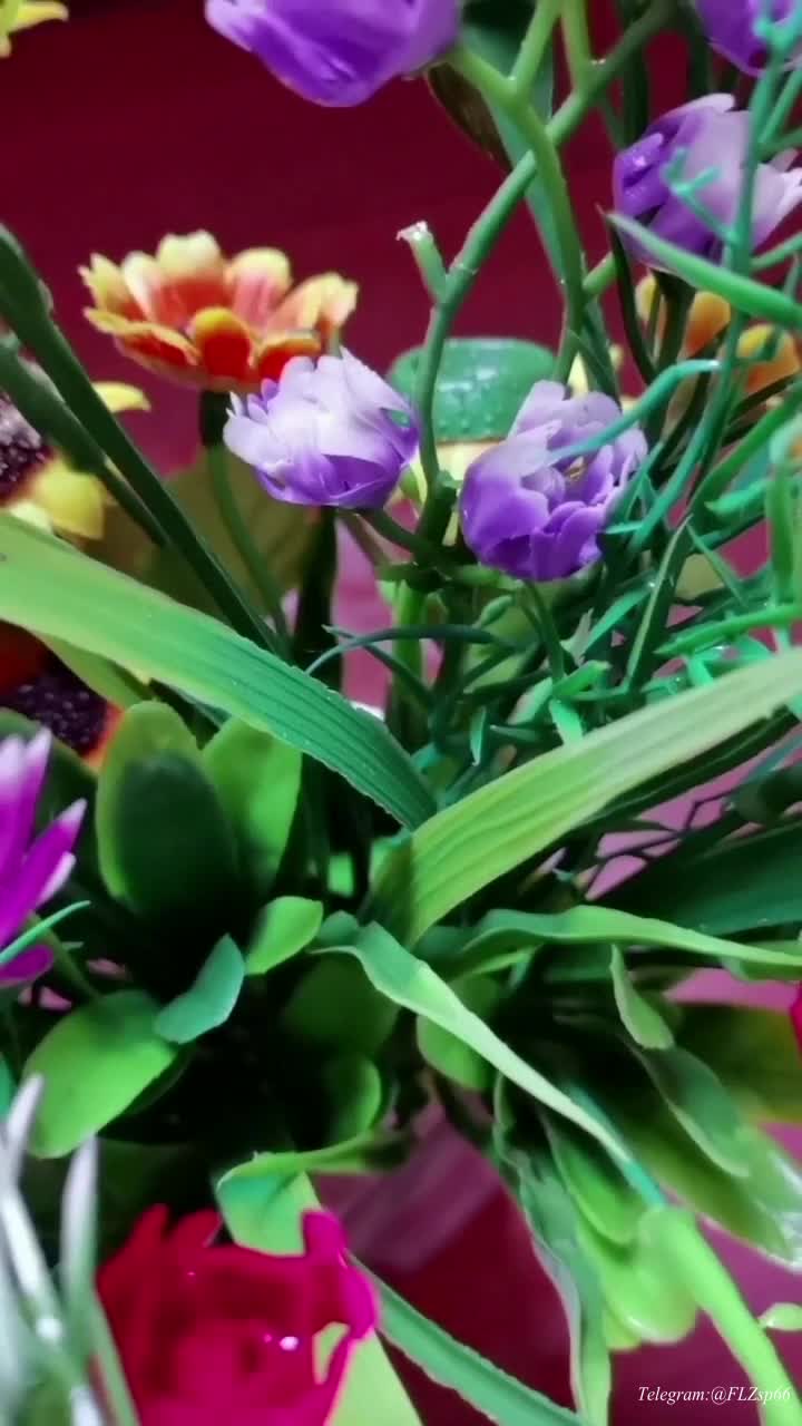 爱穿丝袜的波波阿姨_7