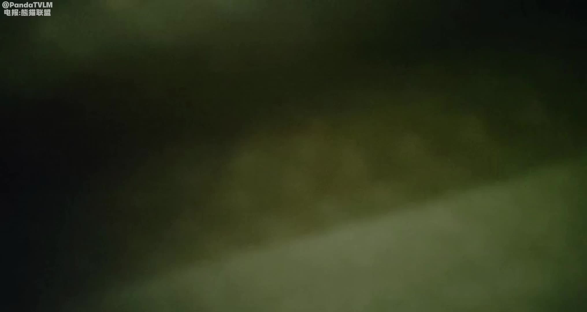 #熟女技师【老王探花】刚来裤子还没脱JC来了，走了后熟女技师继续服务