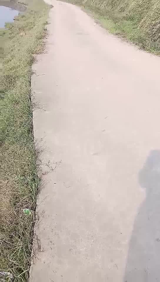 ri.bi-【剧情演绎】车内车震，稀疏的阴毛 淫荡的逼逼，大屌无套插入简直爽歪歪