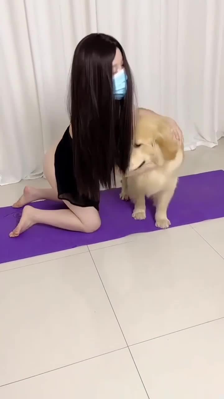 #劲爆重口味 #素人 #性交 #后入 #诱惑
香香公主人兽篇黑色情趣干完戴肛塞再战金毛