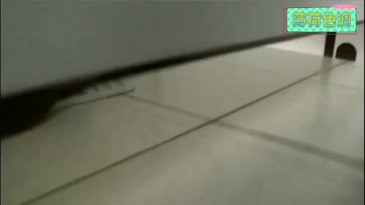 #偷窥 #偷拍自拍 #素人 #业余真实 #厕所
猫眼偷拍小姐姐上厕所