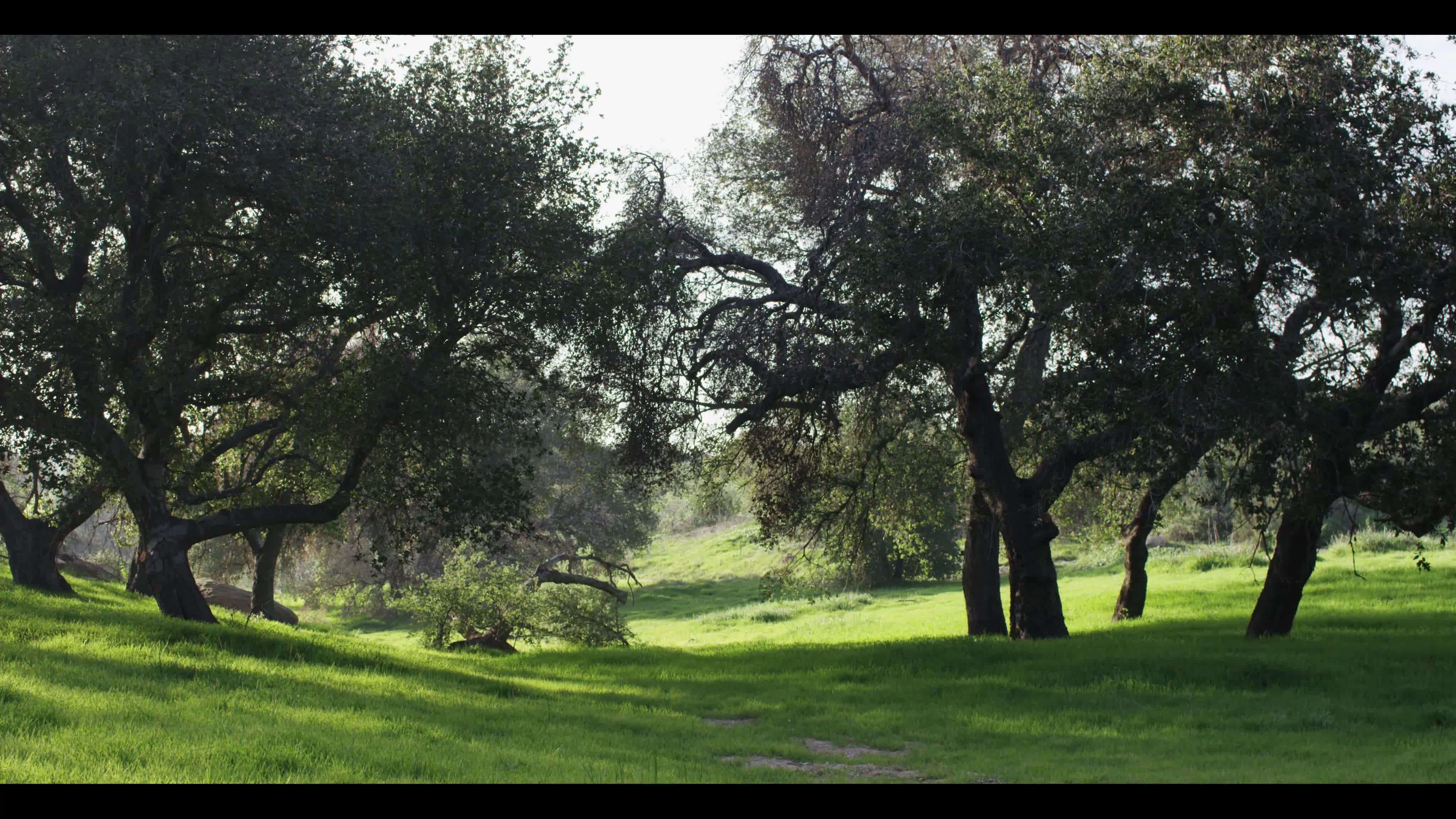 baremaidens.16.08.08.jade.nile.walk.in.the.woods