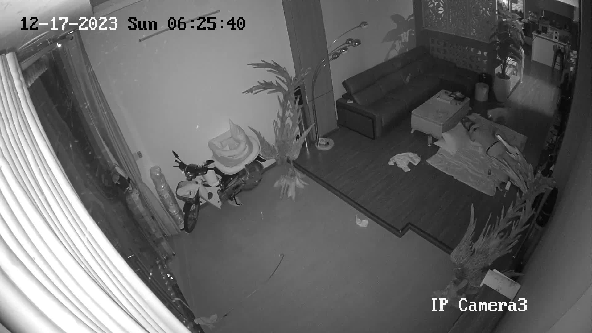 5_6084793654164065225