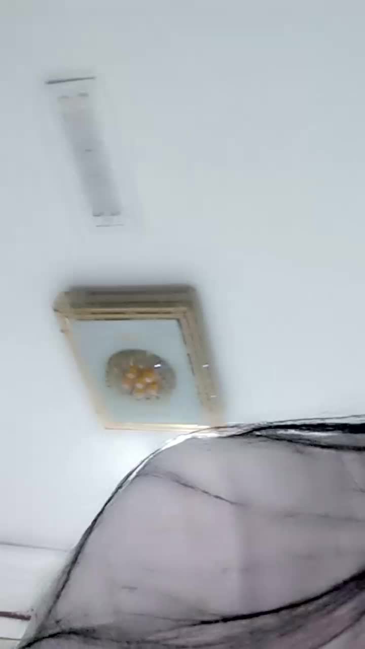 2048.hk@98406906_橘子很甜的_20240115_210855