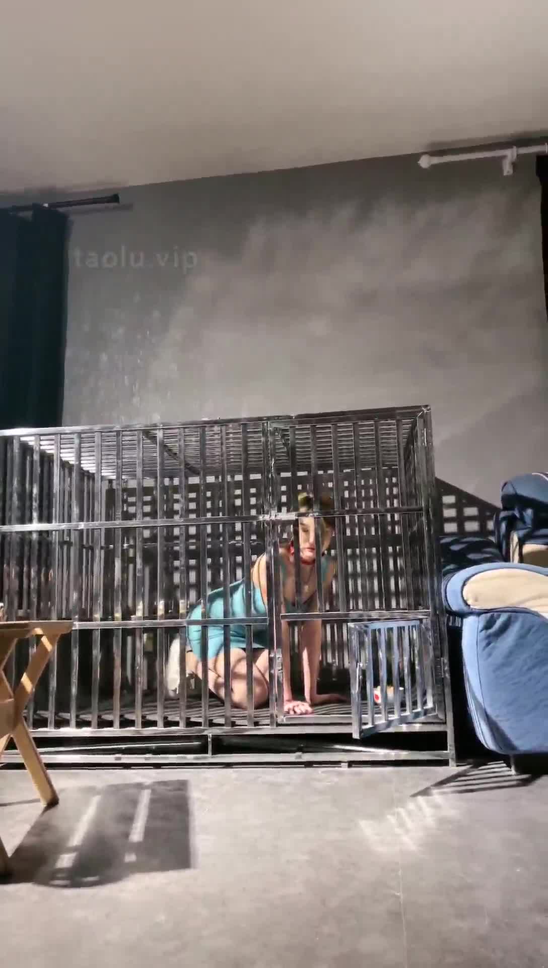 2048.hk@领主老大TJ：母畜狗笼圈养喂食五花大绑挠痒道具塞嘴