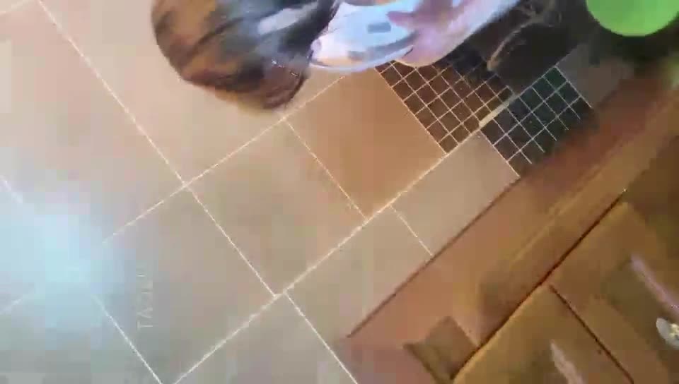 2048.hk@领主老大TJ：双女主黄金喂狗后女奴让狗口舌（反视角）