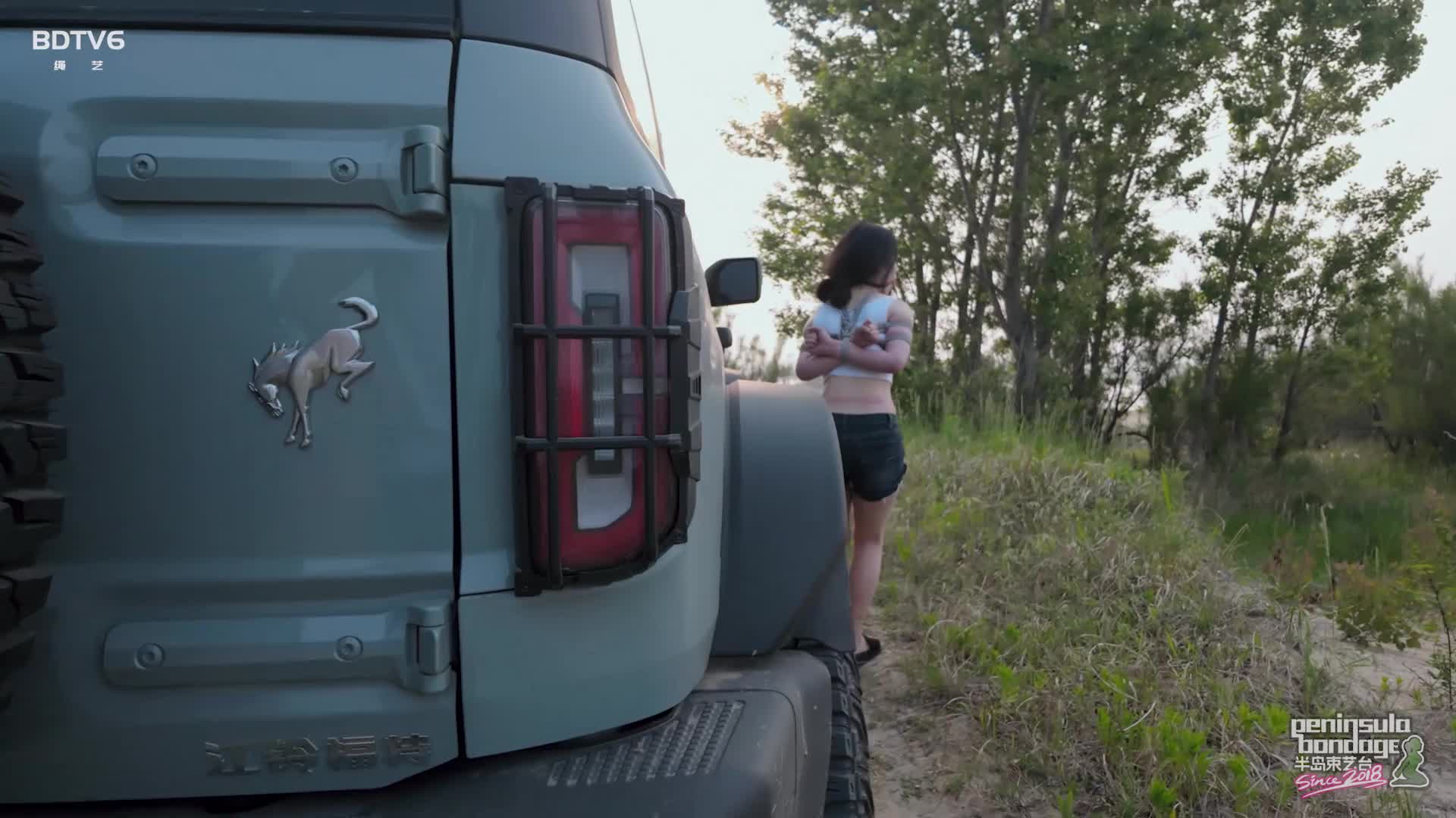 半岛束艺250606-海语-听说宠物坐车喜欢探头