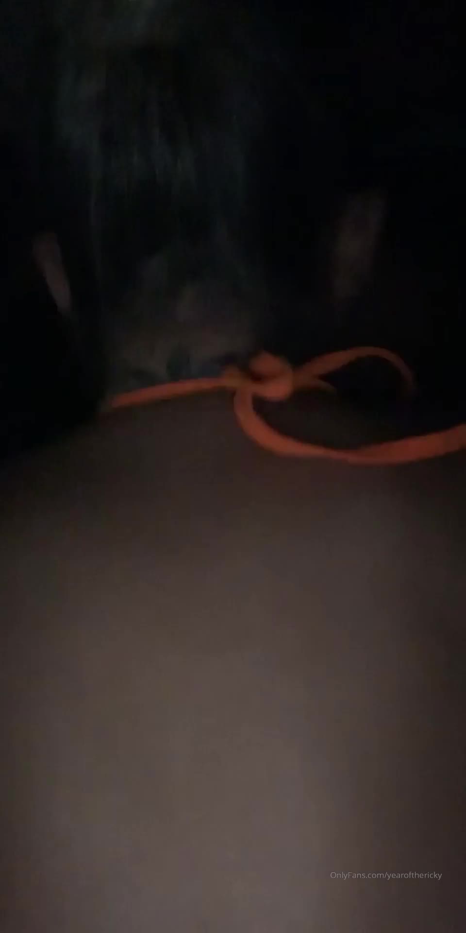 2048.hk@20-02-09_13052572_Wild_Night_in_Florida_960x1920