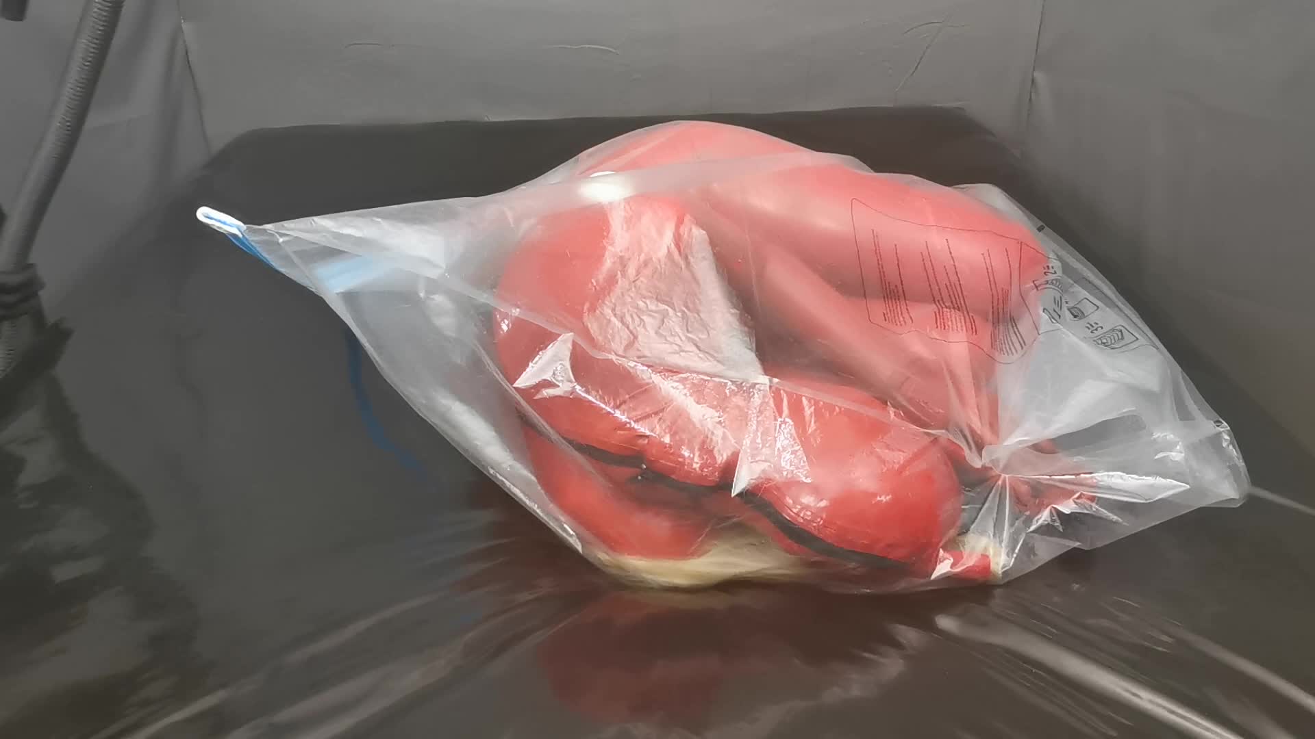 2048.hk@Fun in a vaccum bag