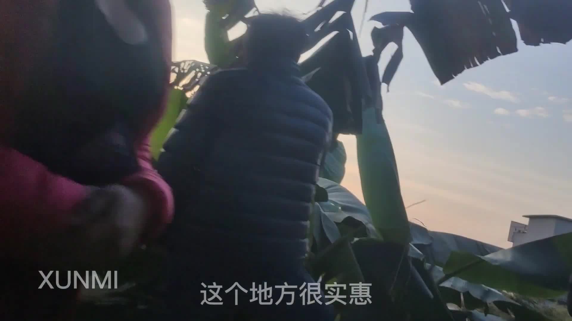 2048.hk@冬至了，又到东莞走了一圈，发现很多艰苦创业的小妹