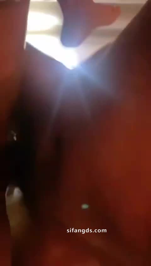 #健身猫女z #抖音 #反差 #啪啪 #巨乳抖音 70万粉丝博主 健身猫女z 跟金主 线下啪啪视频福利