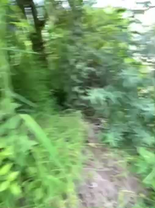 2048.hk@sunny-520Stripchatwebcamrecordings,Archivebate