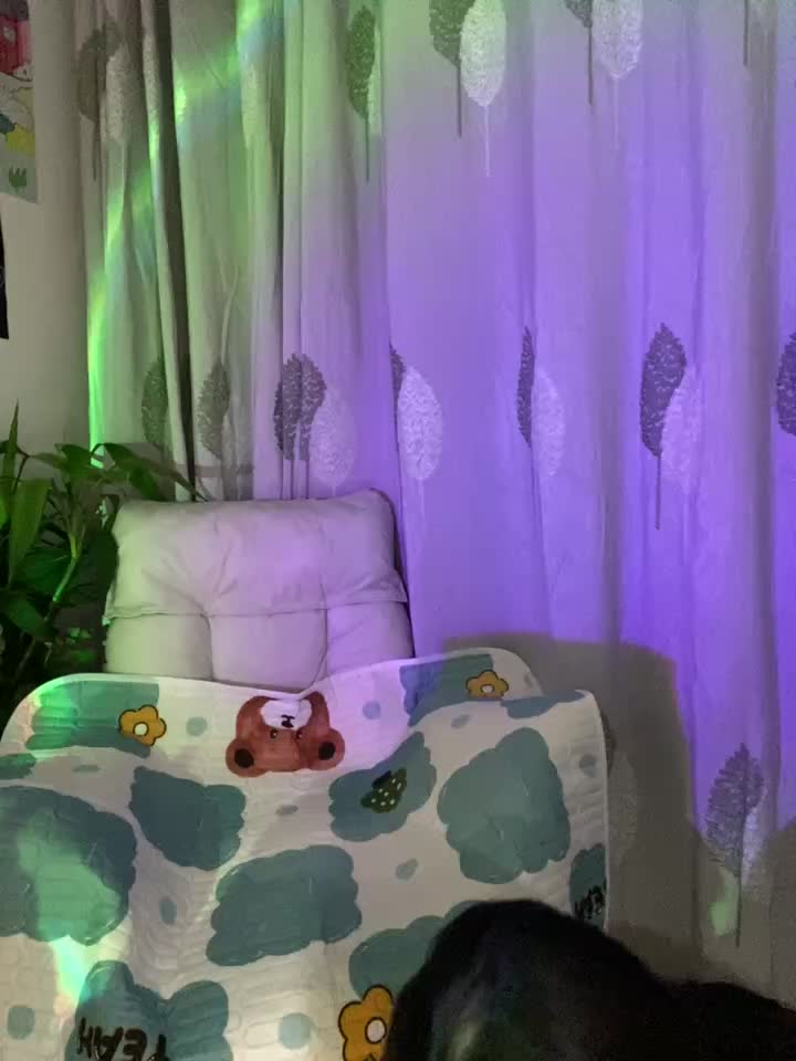 2048.hk@sunny-520_20250813_2325