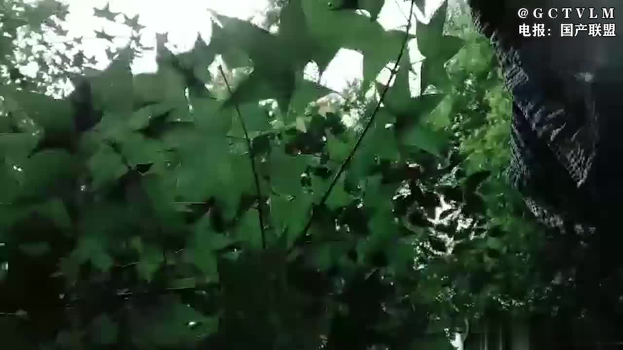 #熟女 #人妻 #野战 #群P燕姐户外勾搭老头玩3P，先让小哥爆草抽插内射在伺候老头