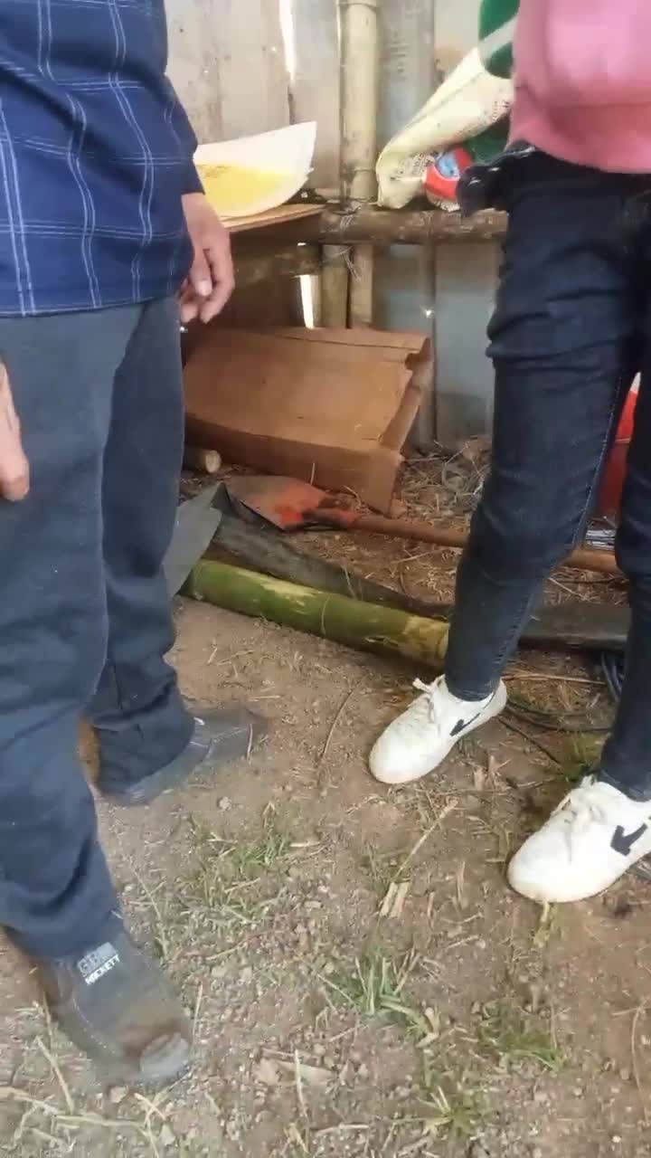 #熟女 #勾引 #换妻 #少妇农村勾搭农民大叔夫妻第三部，农村杂物房骚妇掏出大叔鸡巴口交，站立后入狂顶。大叔老婆在一旁观战，饥渴难耐，脱裤子自慰。小伙子上去直接让大嫂吃鸡，扭动骚臀上位榨精，把大嫂压在身下，狂草内射。这个系列是真的顶，剧情也好，尤其喜欢大叔老婆被操。