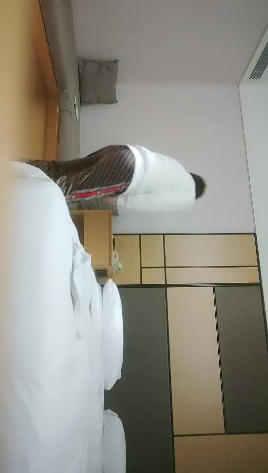 #少妇 #偷情   偷情，丰乳肥臀少妇，花臂身上满是纹身，翘起肥臀等待被操，被操的全身瘫软，高潮