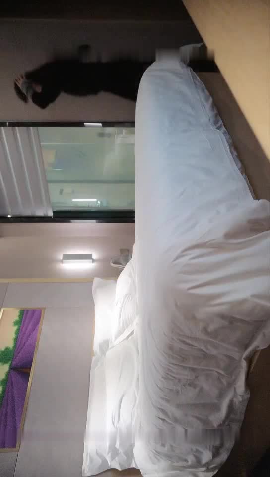 #少妇 #偷情   偷情，酒店约漂亮少妇，兼职不经常接单，调情口活直奔主题抽插做爱